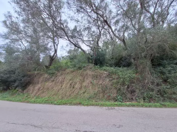 Land In Corfu, Greece