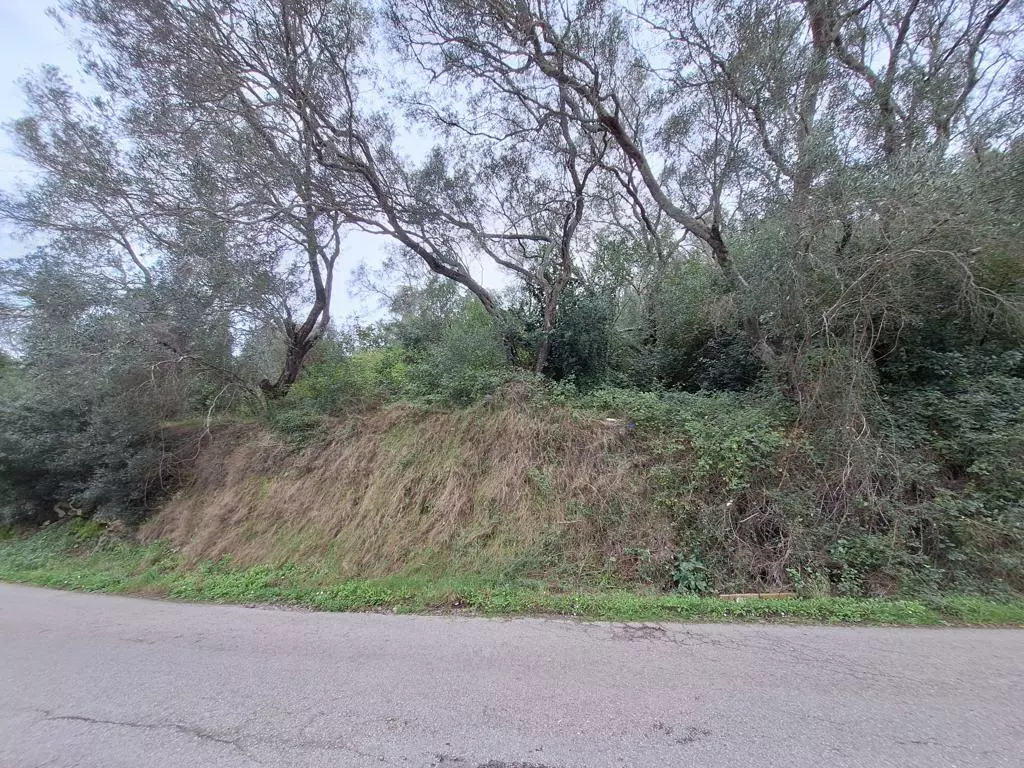 Land In Corfu, Greece