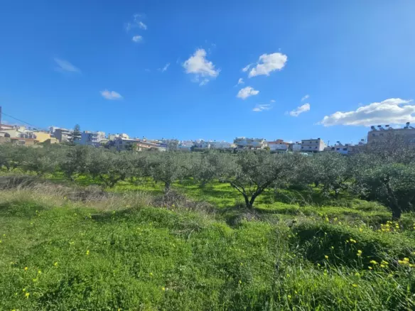 Land In Gazi, Greece