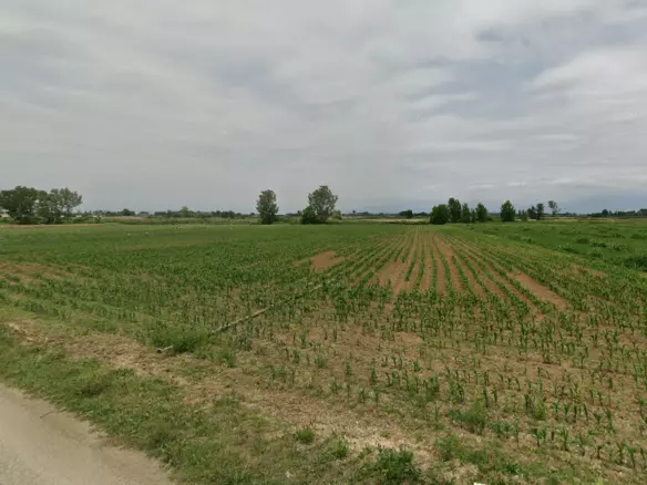 Land In Nigrita, Greece