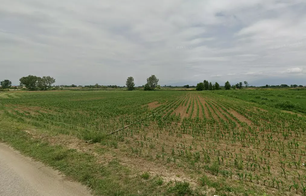 Land In Nigrita, Greece