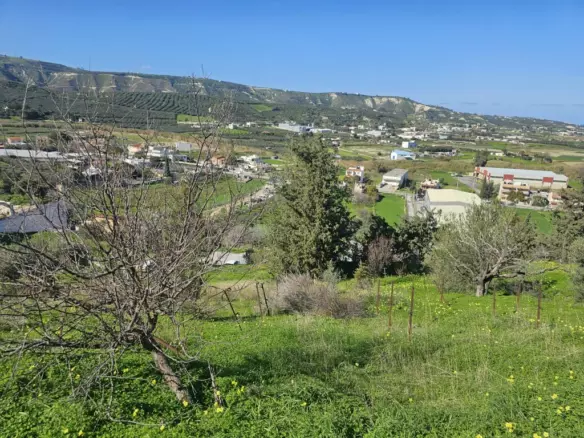 Land In Temenos, Greece