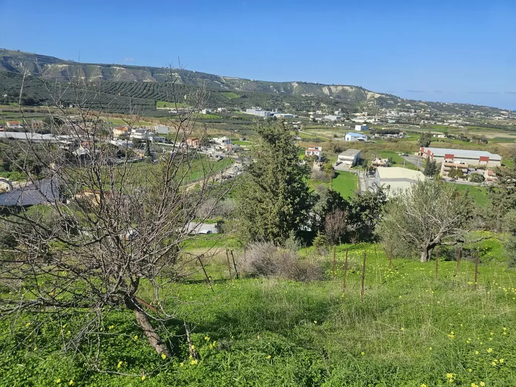 Land In Temenos, Greece