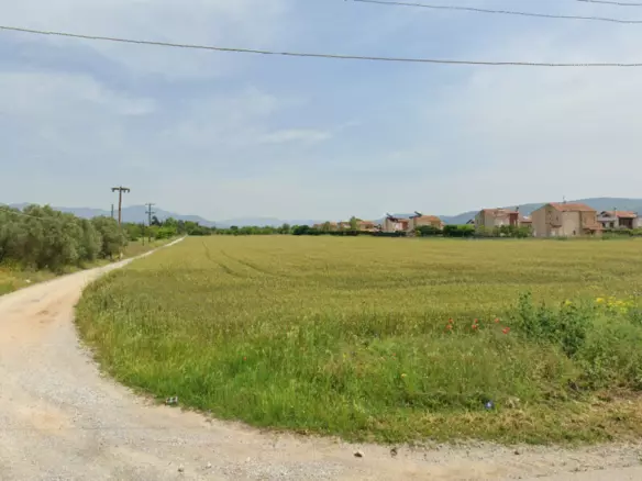 Land In Thermi, Greece
