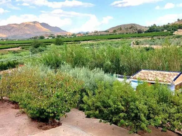 3-bedroom Villa In Murcia, Spain (800 M²)