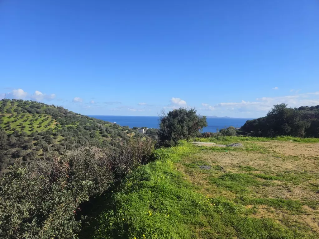 Land In Gazi, Greece