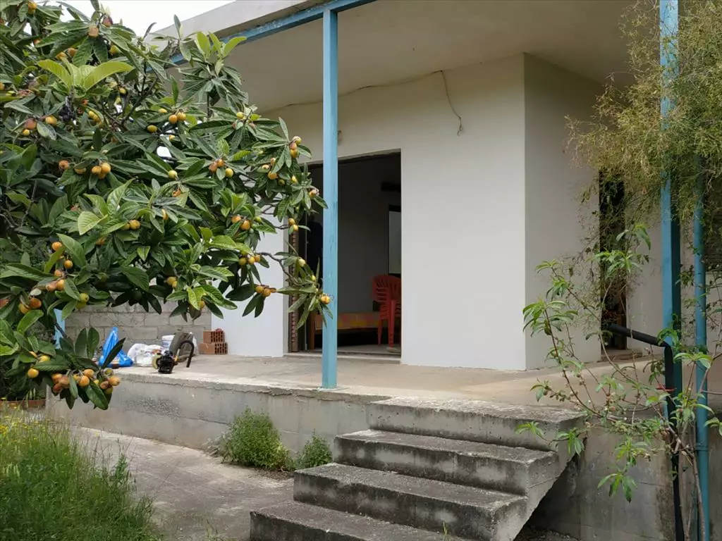 Detached House In Salamina, Greece (42 M²)
