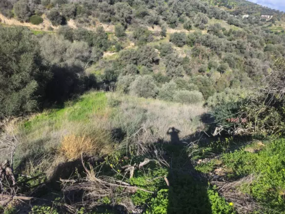 Land In Gazi, Greece