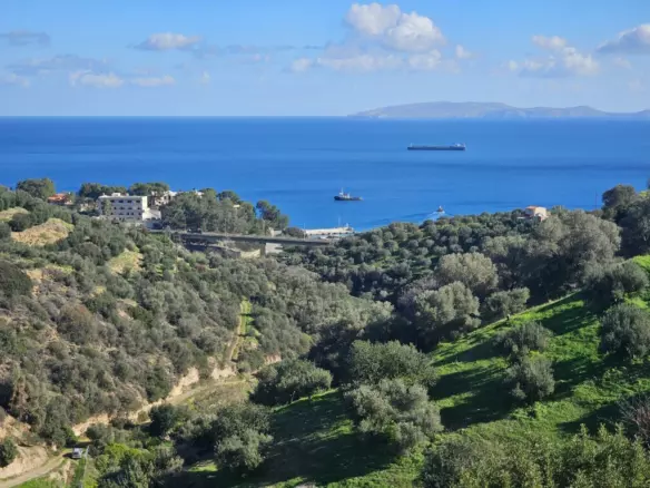 Land In Gazi, Greece