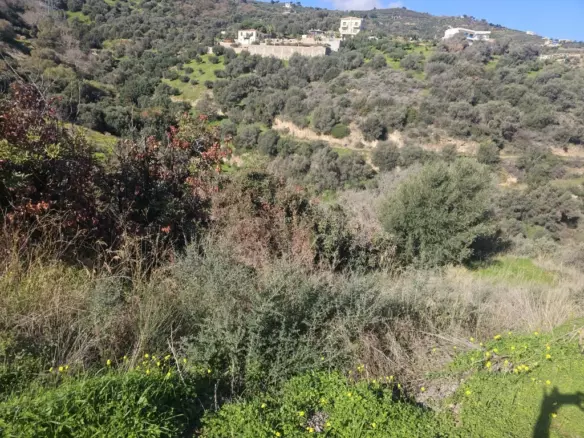 Land In Gazi, Greece
