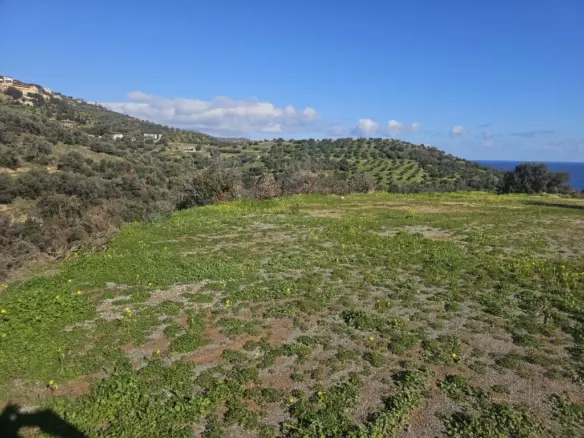 Land In Gazi, Greece