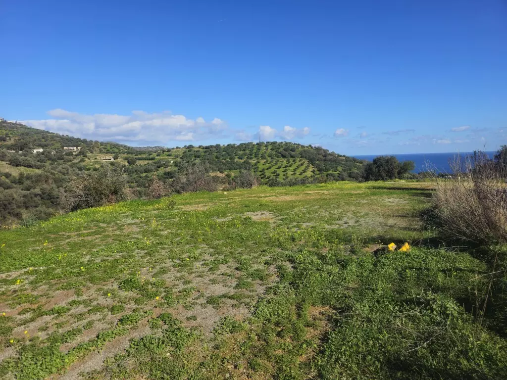 Land In Gazi, Greece