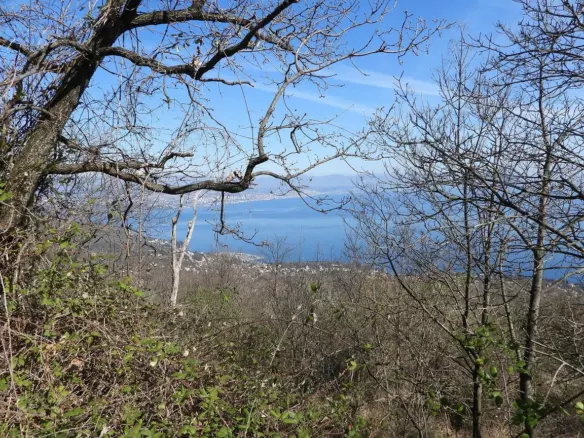 Land In Oprić, Croatia (14.342 M²)
