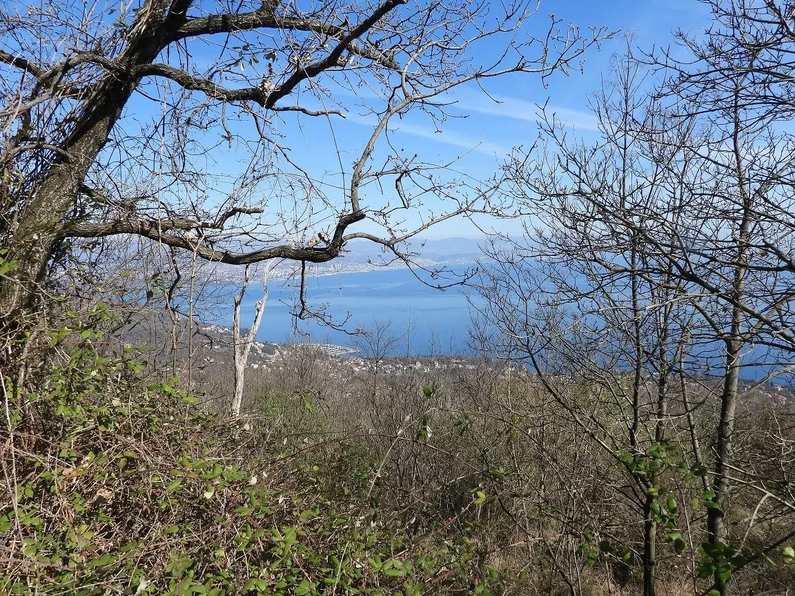Land In Oprić, Croatia (14.342 M²)
