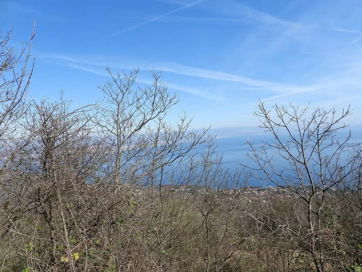 Land In Oprić, Croatia (14.342 M²)