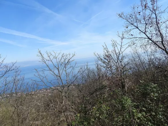Land In Oprić, Croatia (14.342 M²)