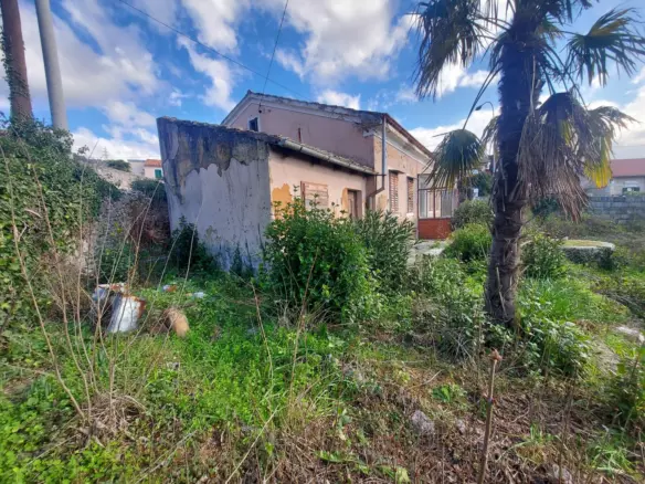 Land In Kozala, Croatia (1.000 M²)