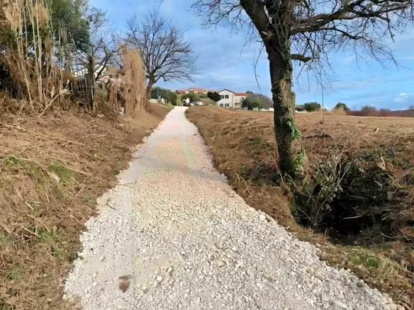 Land In Buje, Croatia (3.104 M²)