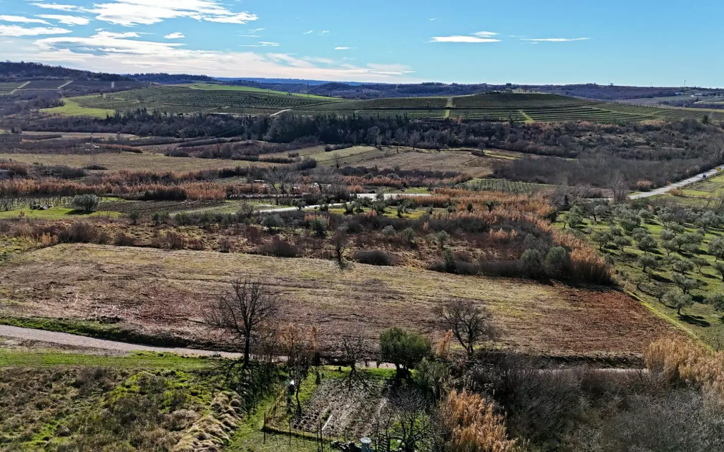 Land In Buje, Croatia (3.104 M²)