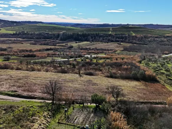 Land In Buje, Croatia (3.104 M²)
