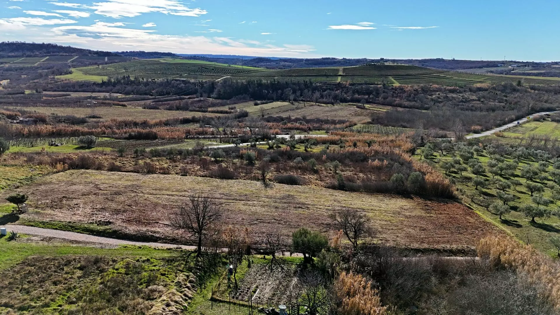 Land In Buje, Croatia (3.104 M²)