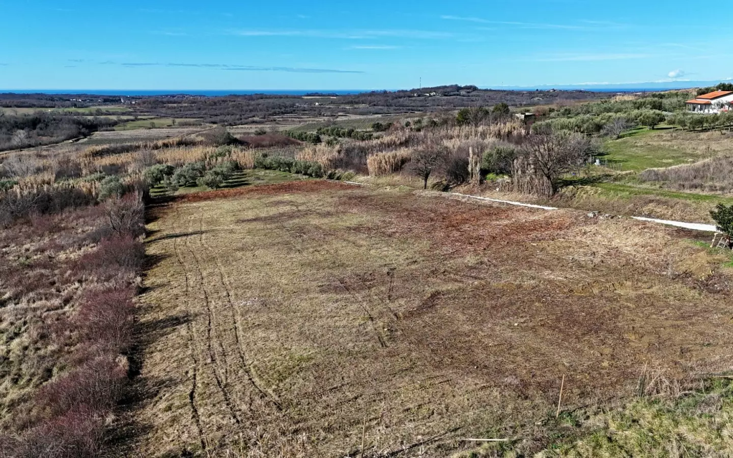 Land In Buje, Croatia (3.104 M²)