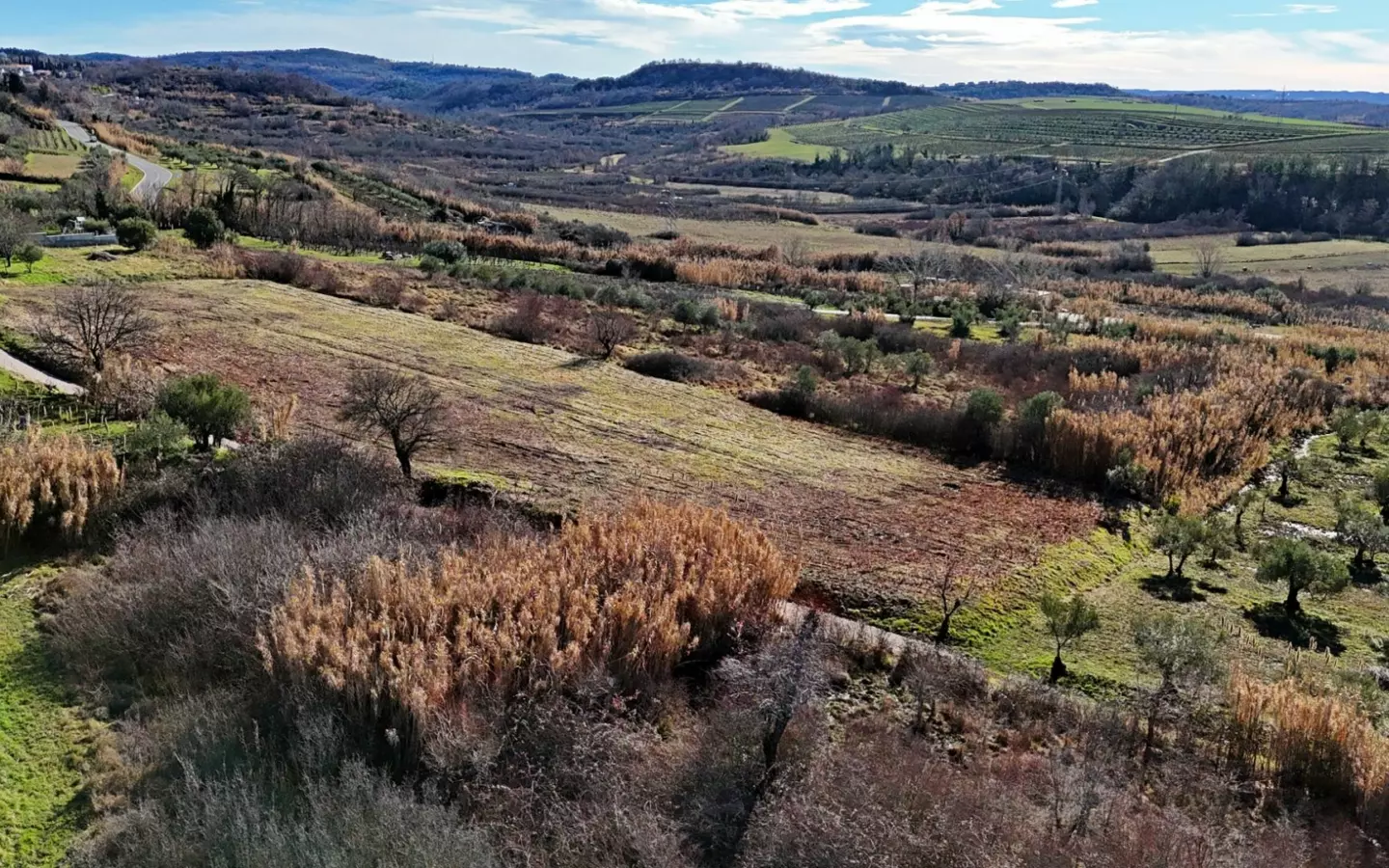 Land In Buje, Croatia (3.104 M²)
