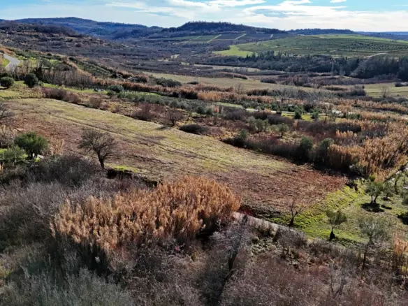 Land In Buje, Croatia (3.104 M²)
