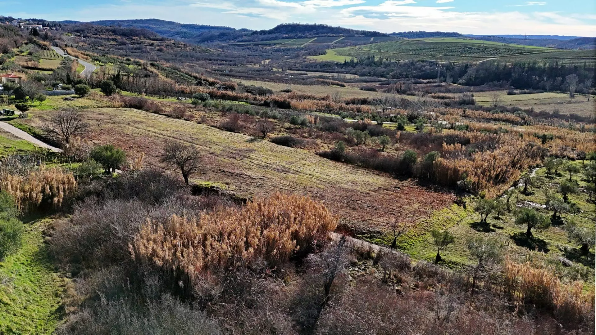 Land In Buje, Croatia (3.104 M²)