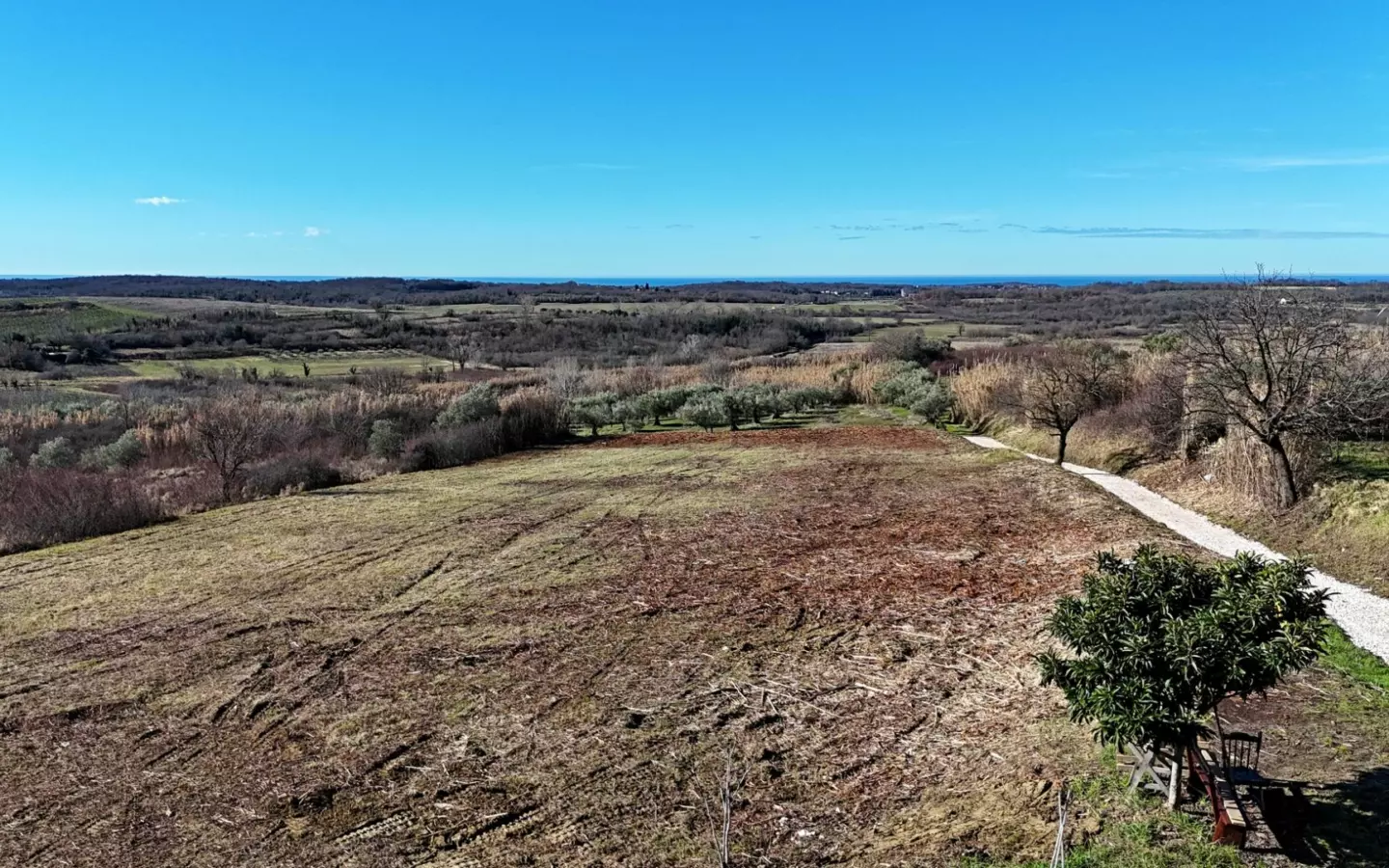 Land In Buje, Croatia (3.104 M²)