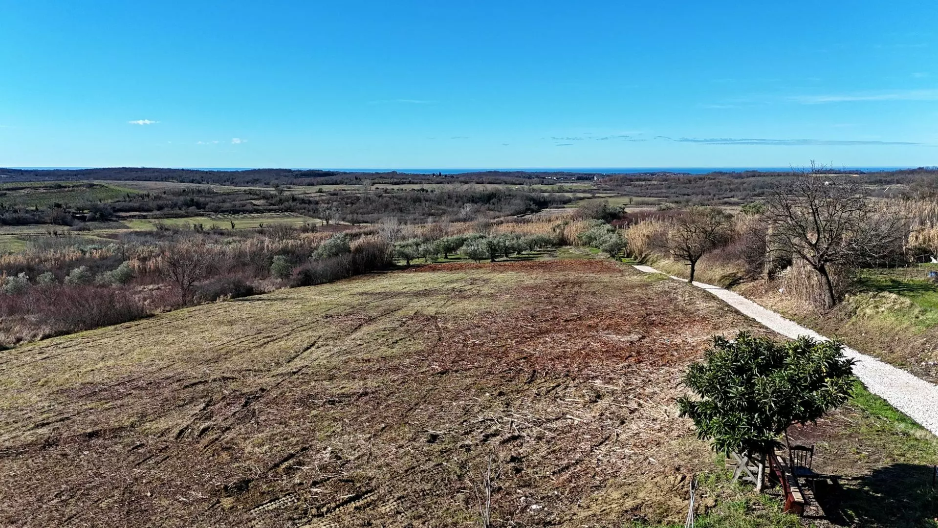 Land In Buje, Croatia (3.104 M²)