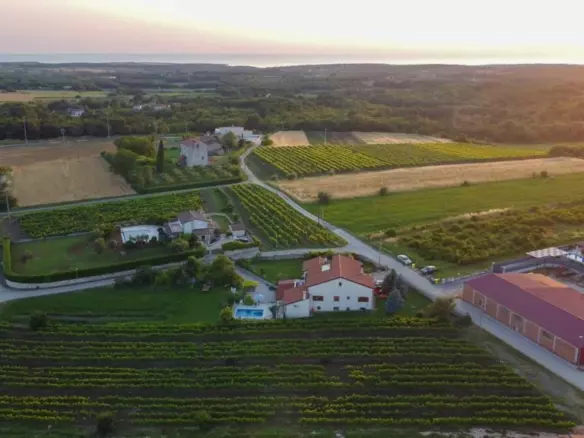 4-bedroom Villa In Nova Vas, Croatia (14.642 M²)