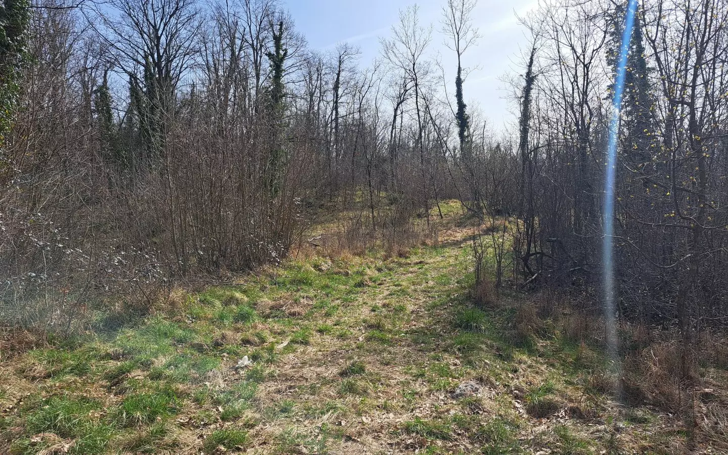 Land In Mučići, Croatia (3.100 M²)