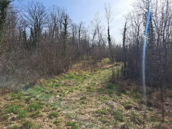 Land In Mučići, Croatia (3.100 M²)