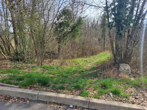 Land In Mučići, Croatia (3.100 M²)