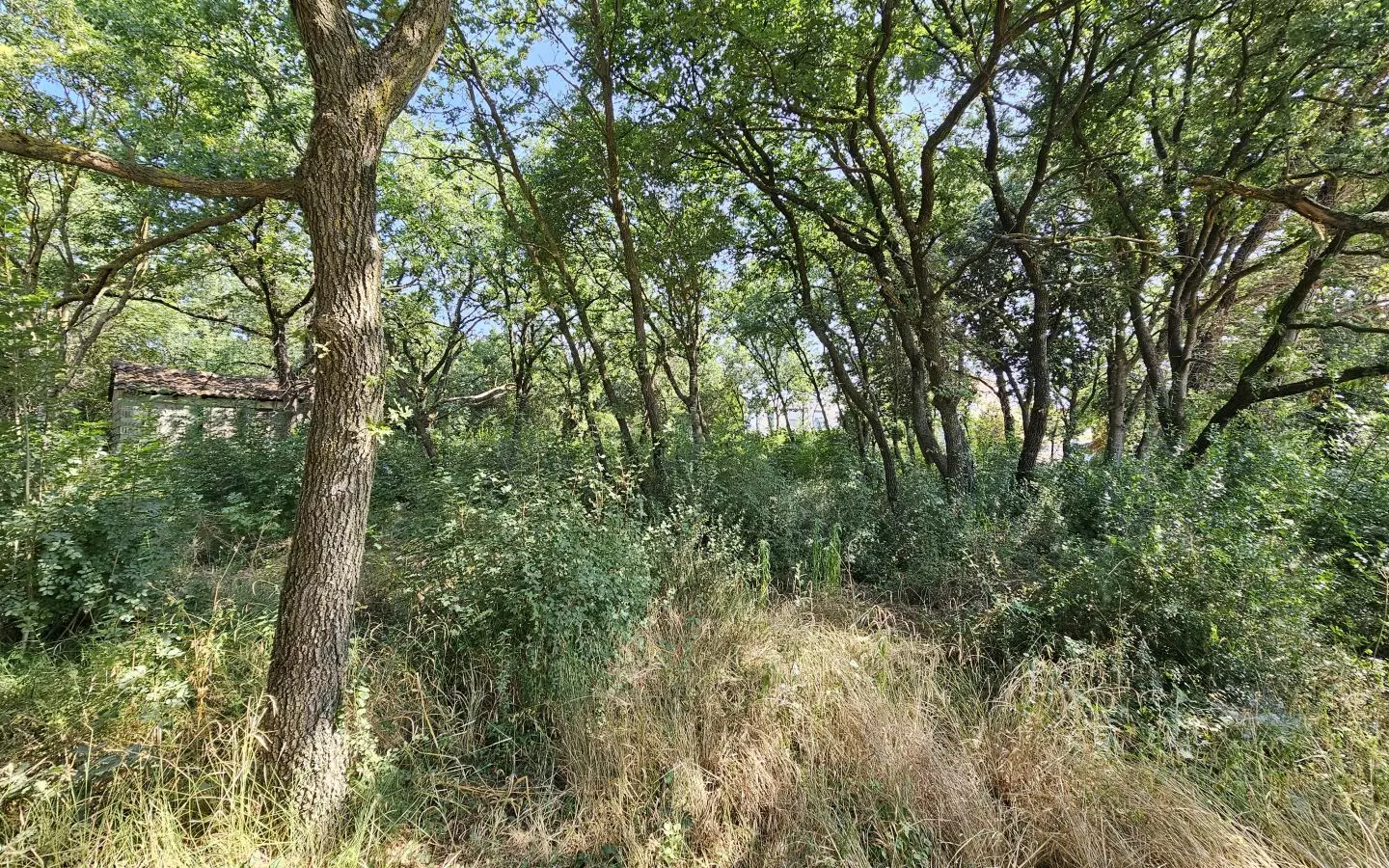 Land In Valbandon, Croatia (1.345 M²)