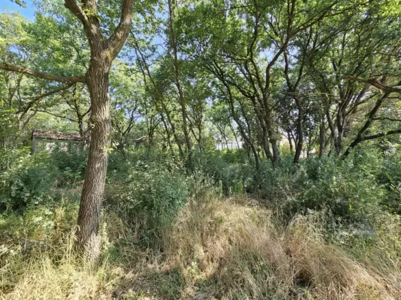Land In Valbandon, Croatia (1.345 M²)