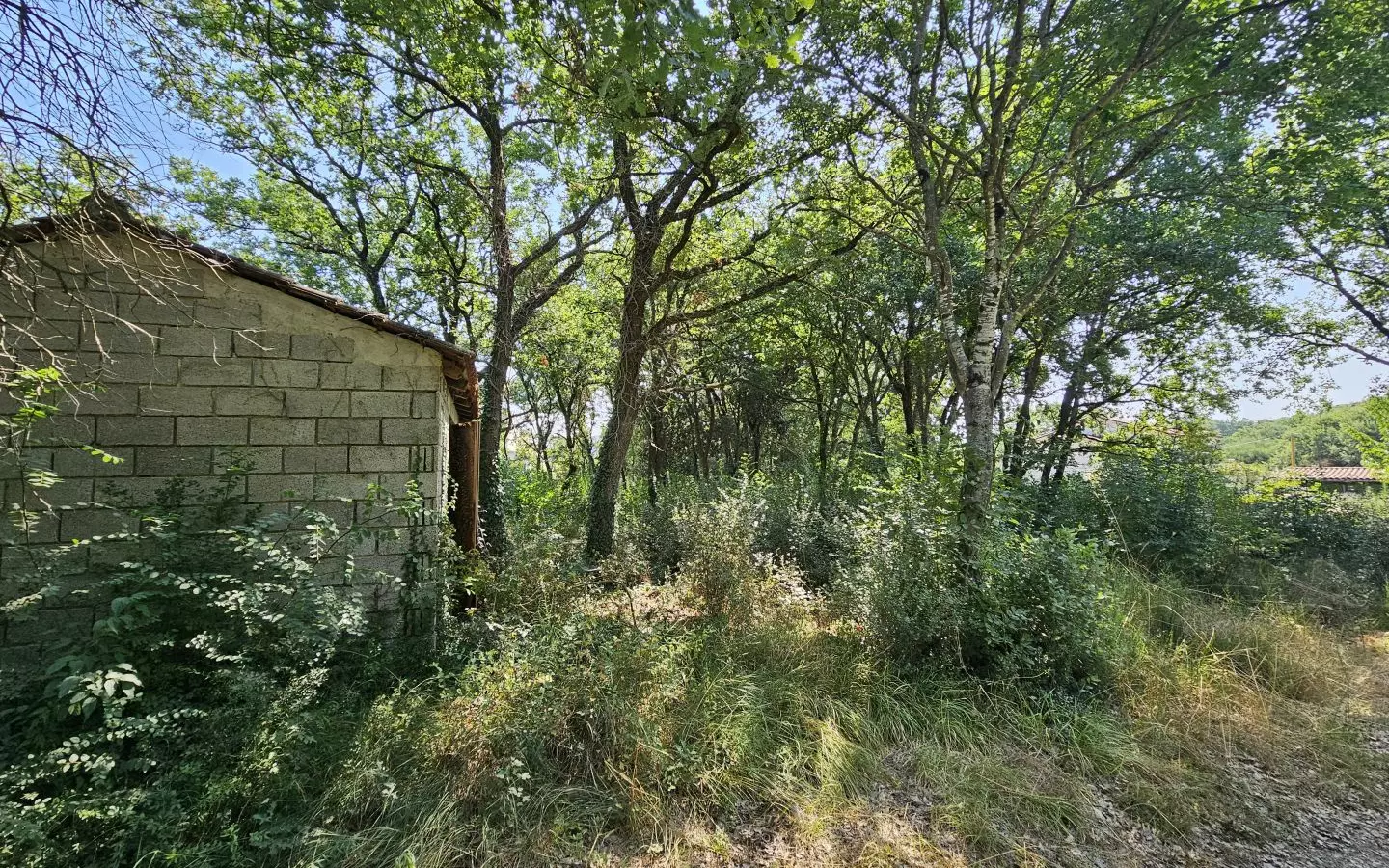 Land In Valbandon, Croatia (1.345 M²)