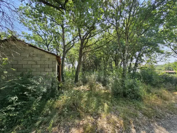 Land In Valbandon, Croatia (1.345 M²)