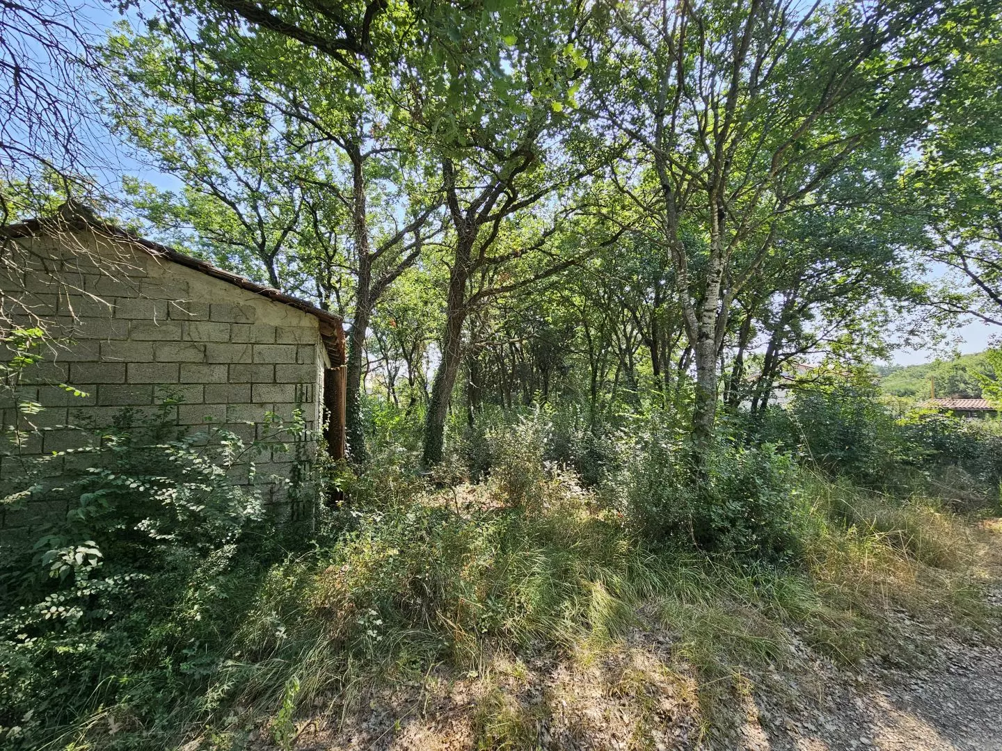 original_1722268565_1000039750-b4be28 Land In Valbandon, Croatia (1.345 M²)