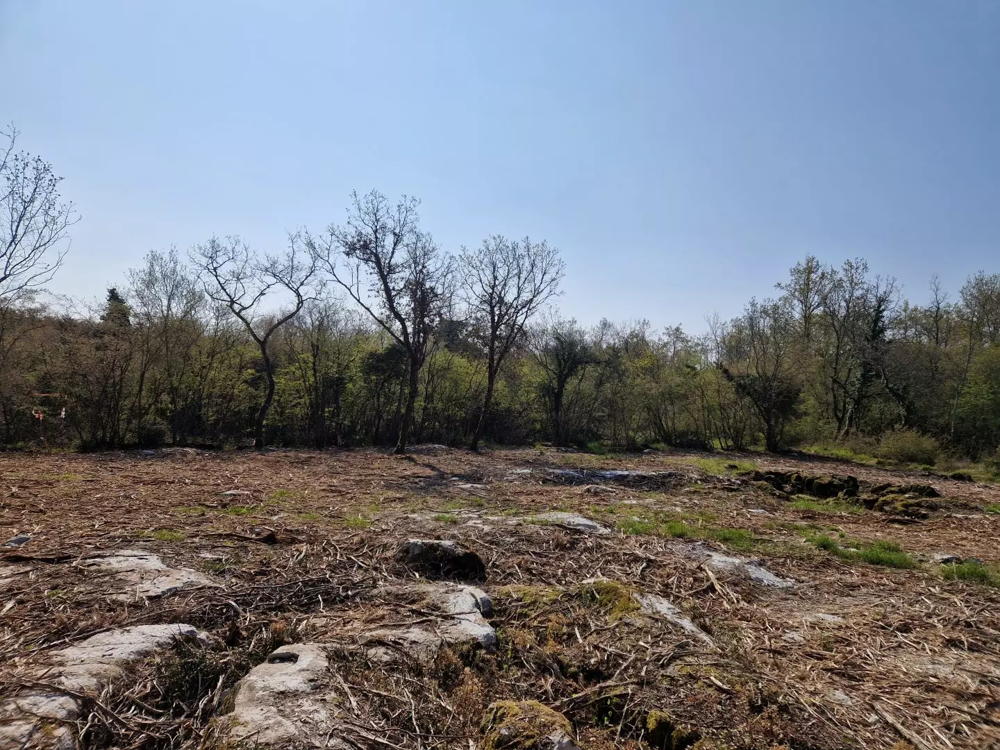 original_1744380319_istra-porec-kompleks-zemljista-zadnji-u-zoni-gradnje-8-ce072e Land In Poreč, Croatia (2.768 M²)
