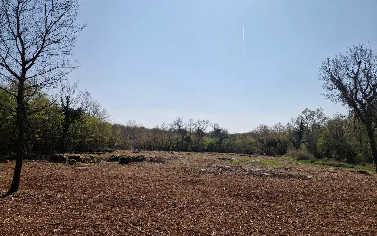Land In Poreč, Croatia (2.768 M²)
