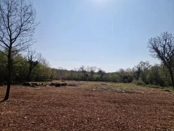 Land In Poreč, Croatia (2.768 M²)