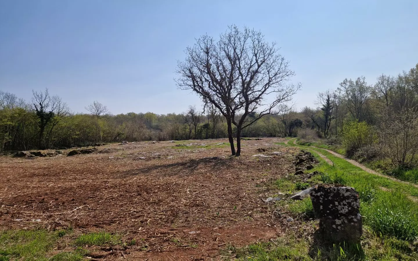 Land In Poreč, Croatia (2.768 M²)