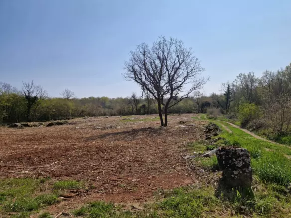 Land In Poreč, Croatia (2.768 M²)