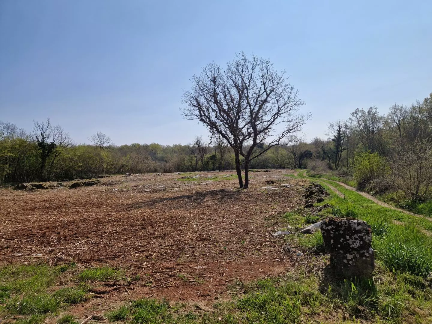 original_1744380376_istra-porec-kompleks-zemljista-zadnji-u-zoni-gradnje-18-21d45f Land In Poreč, Croatia (2.768 M²)