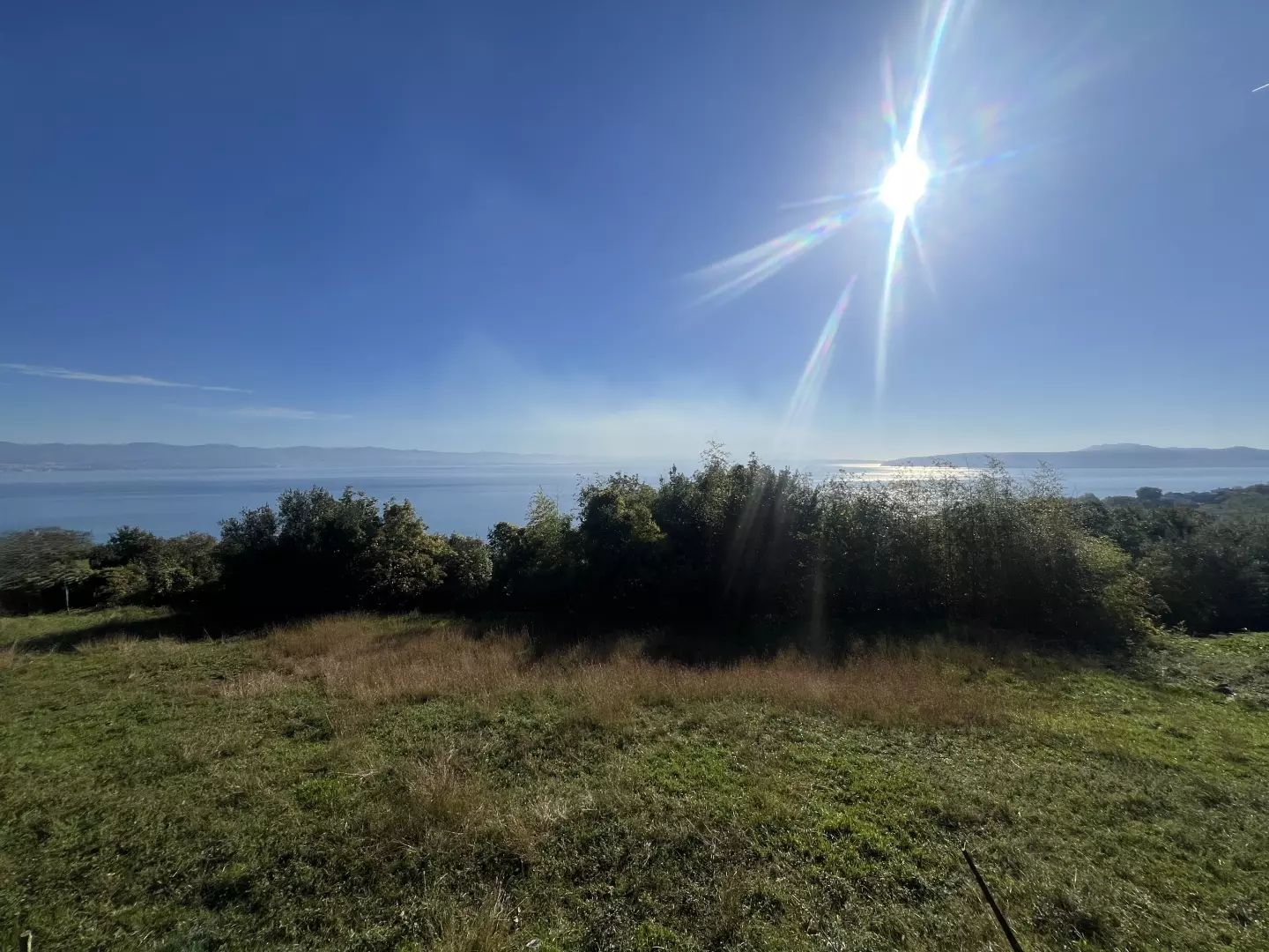 Land In Medveja, Croatia (2.716.000 M²)