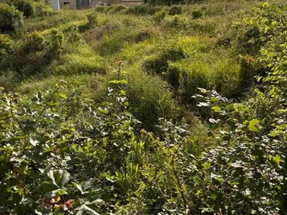 Land In Hum, Croatia (848 M²)