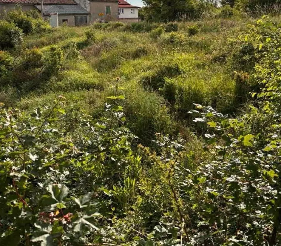 Land In Hum, Croatia (848 M²)