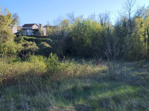 Land In Rakotule, Croatia (1.172 M²)